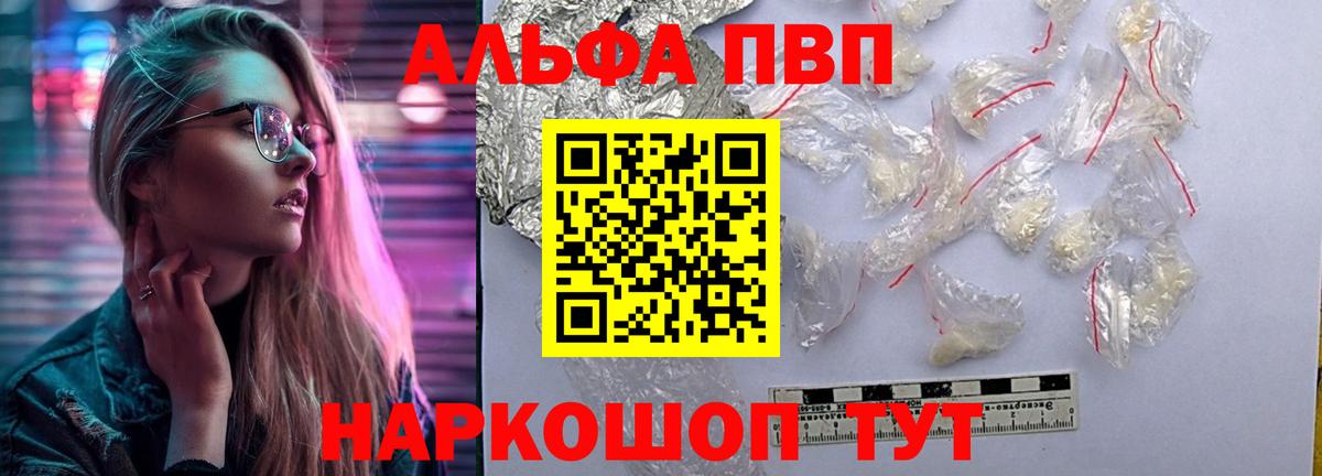 A PVP СК Электрогорск