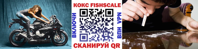 где купить   Электрогорск  гидра tor  Кокаин 99% 
