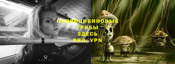 круглые Магас