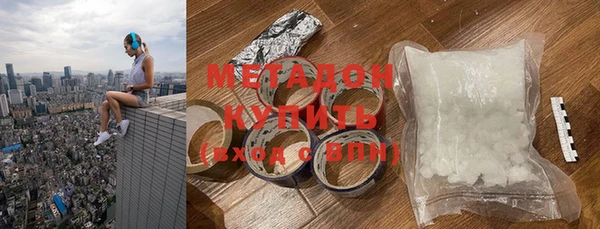 сатива Новодвинск