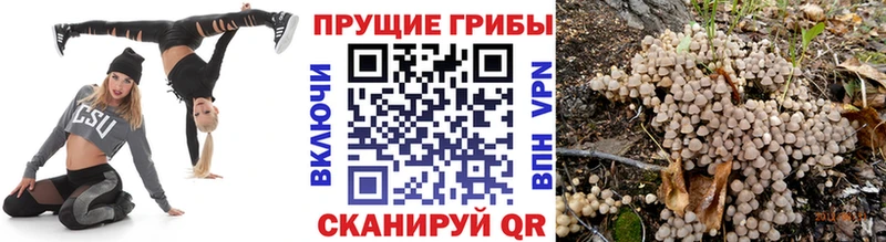 Галлюциногенные грибы мухоморы  купить  цена  Электрогорск 