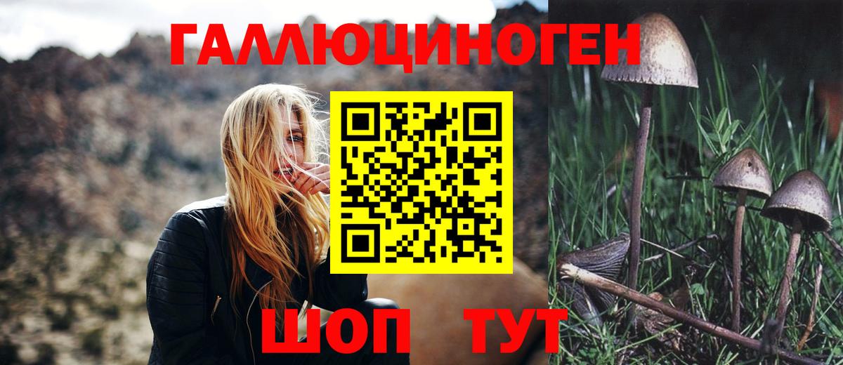 продажа наркотиков  Вход с VPN  Галлюциногенные грибы ЛСД  Электрогорск  Галлюциногенные грибы мухоморы 