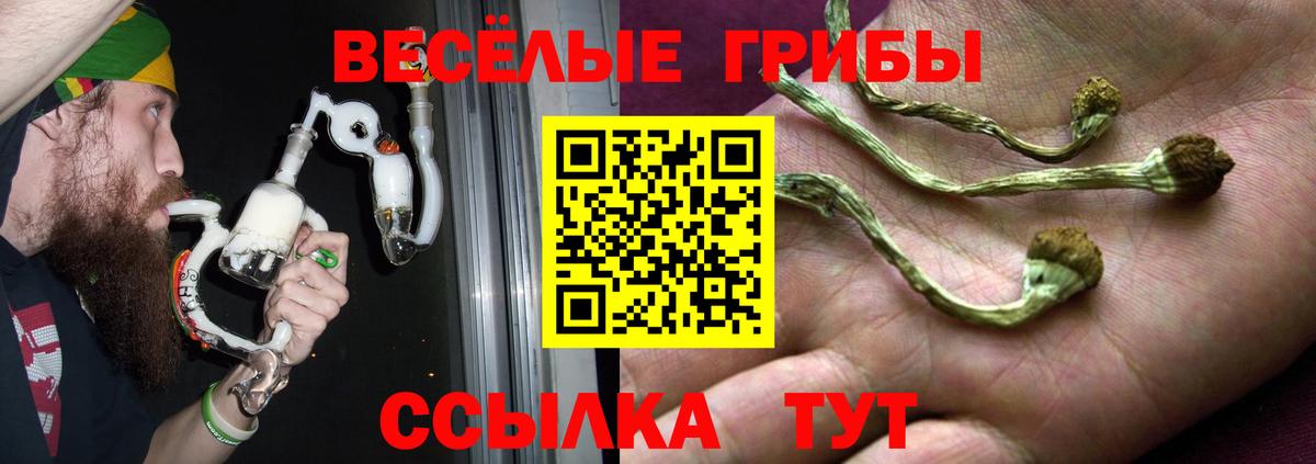 Галлюциногенные грибы Magic Shrooms Электрогорск